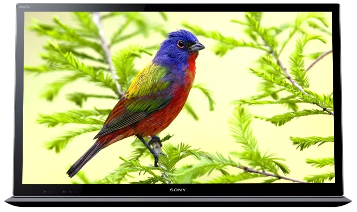 Ремонт блока управления Sony KDL-55HX853